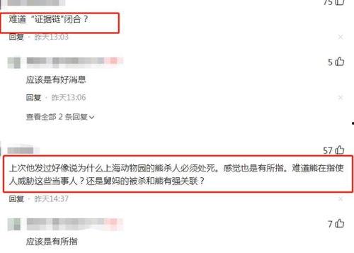 二八最新爆料消息视频播放,揭秘视频播放背后的惊人真相  第1张